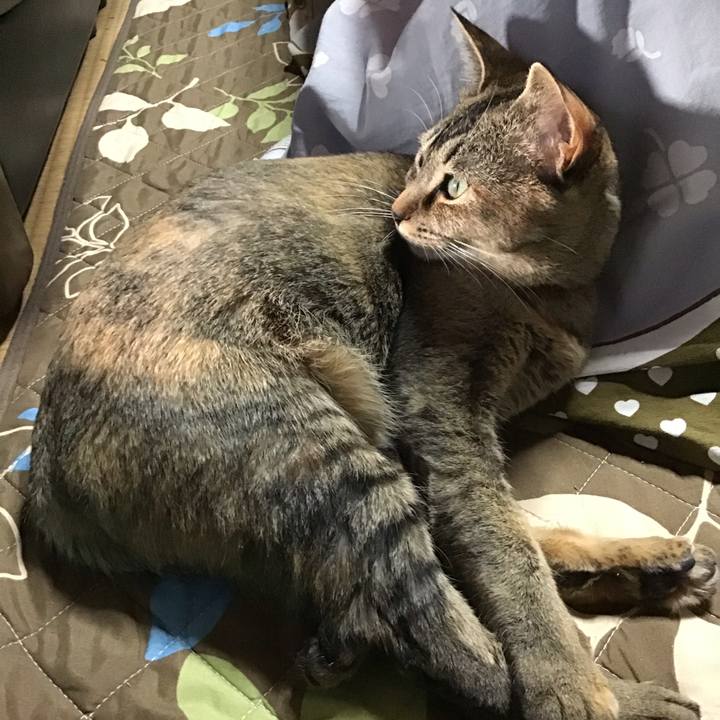 2b570828 3e11 450f 8a16 837436377c87 1585127779432