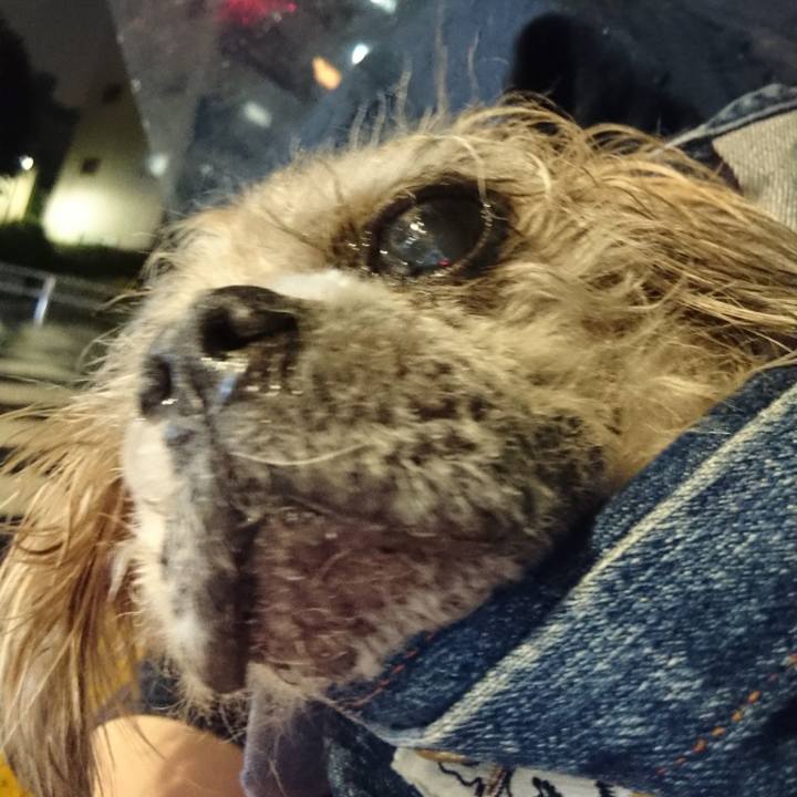 2b574c24 88cd 48b7 b096 24d9c38b91e4 1622377328365