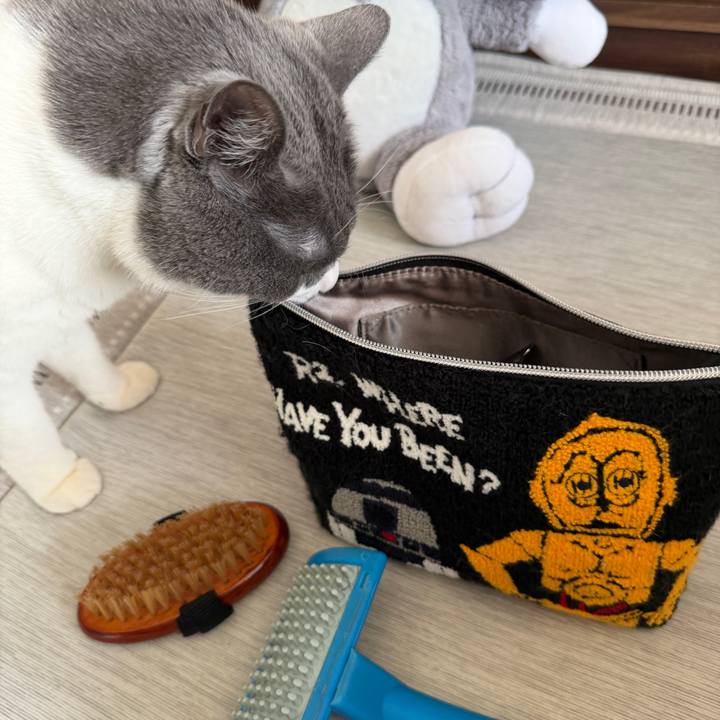 2b5752de 140a 4f85 a4b5 157bf27641be 1765680999632