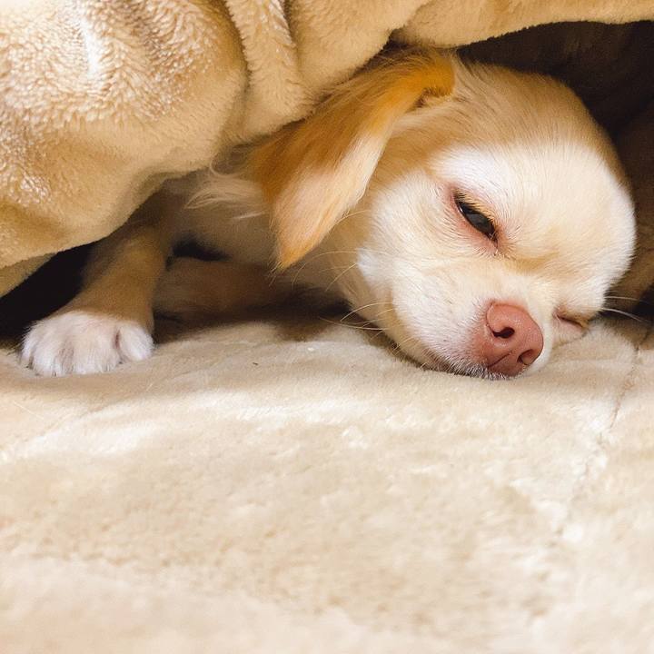 2b577863 9ccb 4f96 bff4 487f63a9923d 1610270448471