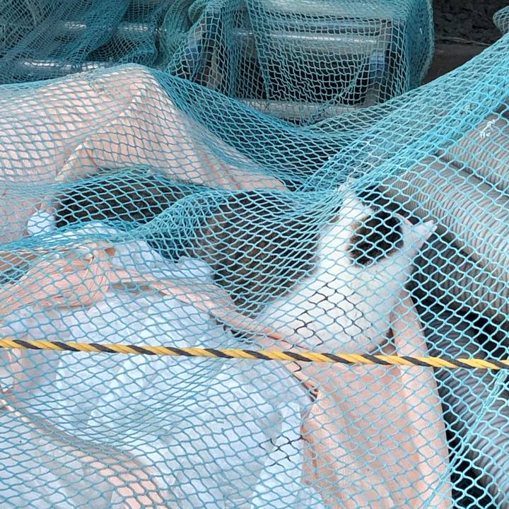 2b577d00 d63b 4a9a aa19 1a54f196af99 1546657596106