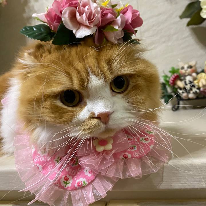 2b5797f9 8b31 4104 a824 71af8cc5d5b9 1602590154215