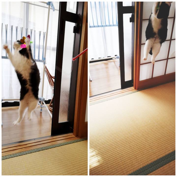 2b57b572 c548 4874 ad1a 33a885e33045 1584775927917