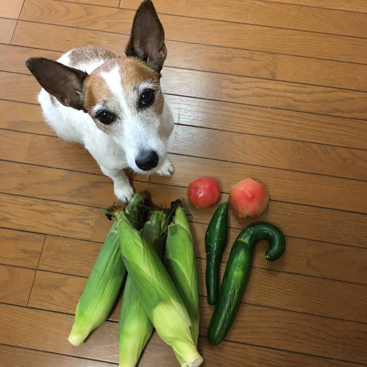 2b57c4d3 3648 48f0 8be9 bd6a4ce4a6fb 1626391808084