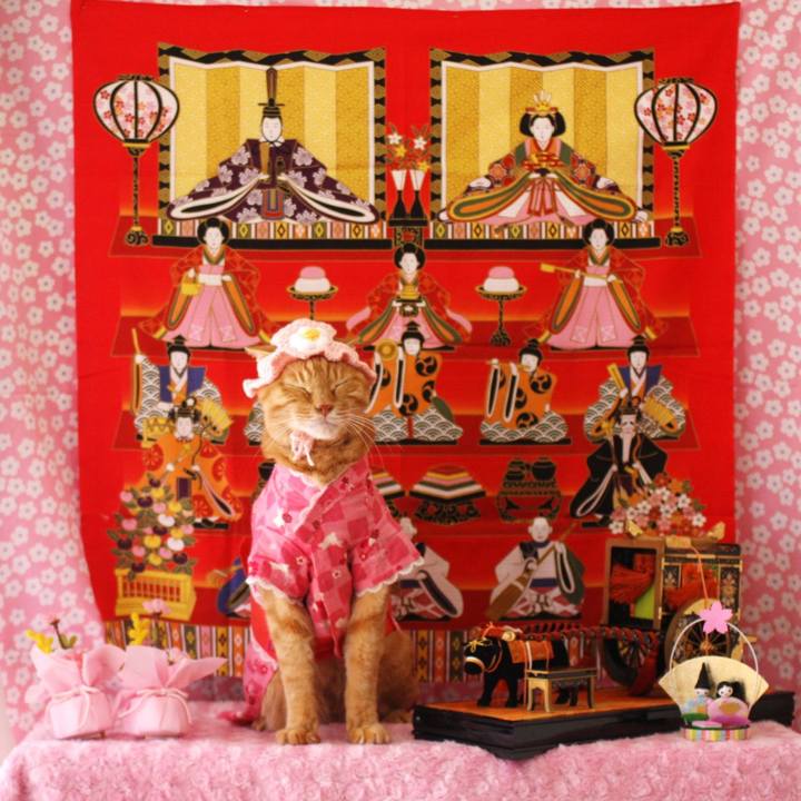 2b57e0ec b4ed 4854 bb7b ef8cfe6d7667 1772409514523