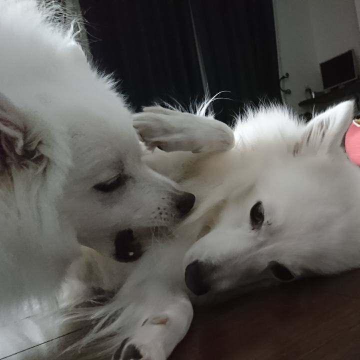 2b57e9e7 17cc 4a9b ba5b 120e1a163e13 1581048623554