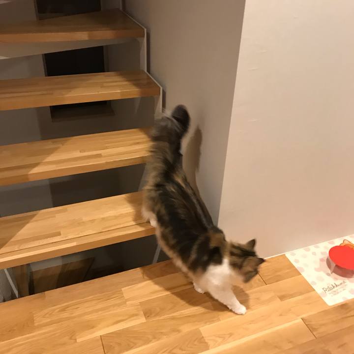 2b57ee6f 8b22 4021 98cf de6342509eab 1564232101265