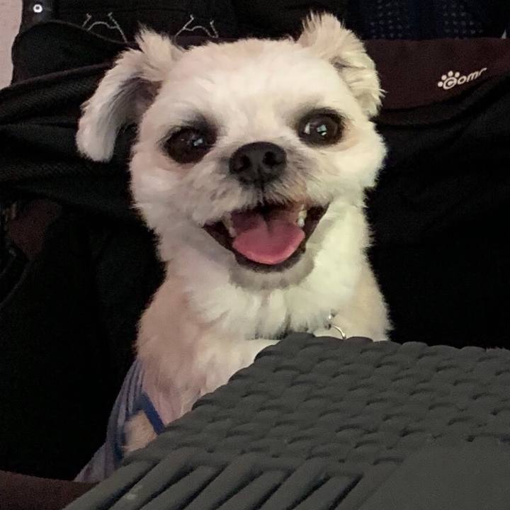 2b5805e1 ba2b 4b0e ad39 08c850fdb0f4 1568537842974