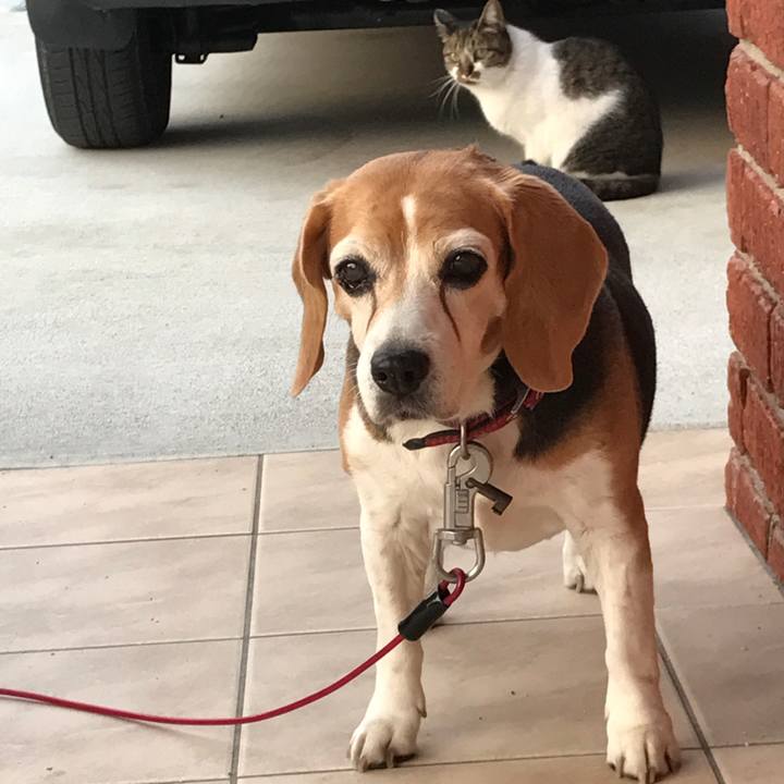 2b5825a9 a5c5 488c 9713 25f81244d6ef 1579954934741