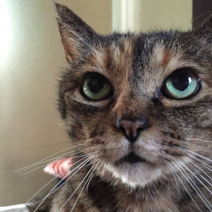 2b587758 79cf 47a4 b13b f65489df9cb2 1548244760647