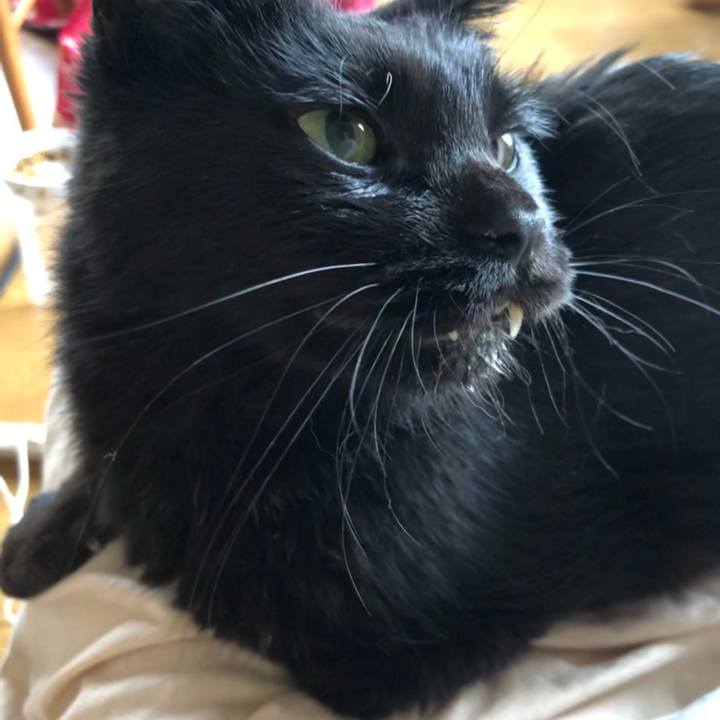 2b5899ba 24df 4812 9279 eafe47e4be1a 1629322228954