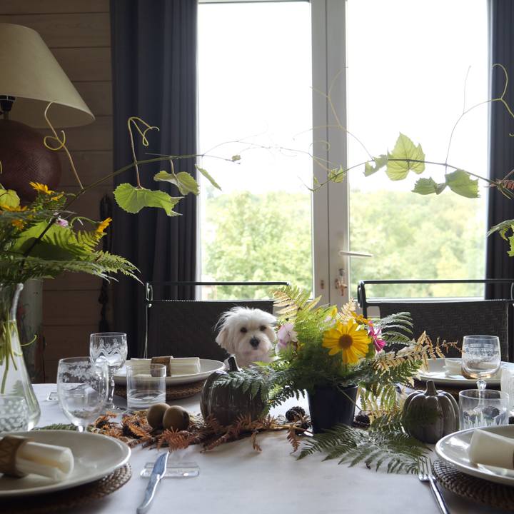 2b58e266 8c37 4674 9c3d 84c706e1f84c 1755853618297