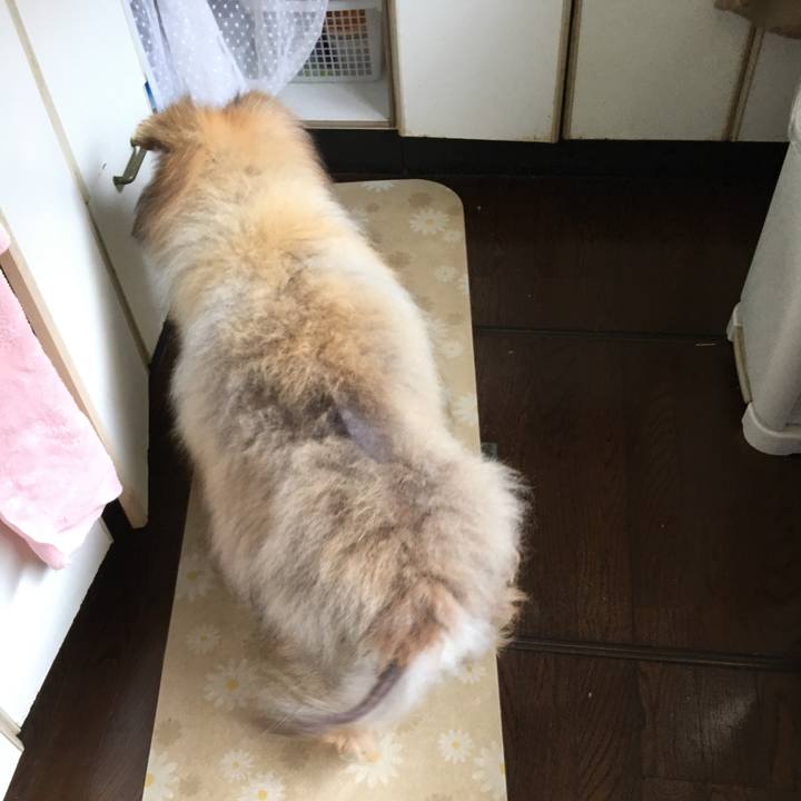 2b58fb75 748a 4126 8743 1a2111224979 1557300738246