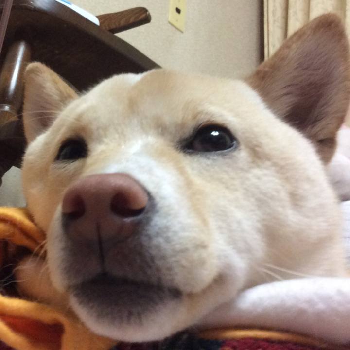 2b590c55 5ac8 4a7a 9c9f a51915ab410c 1519645813061