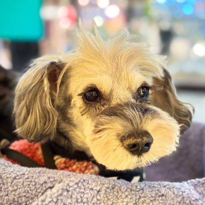 2b590cea 7cb8 49fe bc45 e3f24433fa10 1762173115956