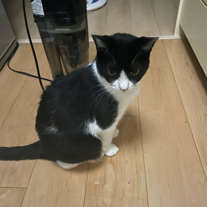 2b5929a4 8fba 46b0 9547 cdeeb9f251a9 1724321247543