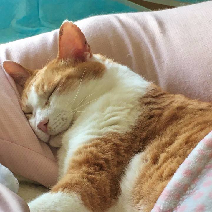 2b59566f fcd0 46be 92fc ba08d9afa57b 1620802154394