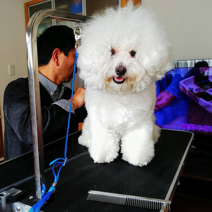 2b5956a4 705d 416b af42 9805abdc5d0b 1541911841527