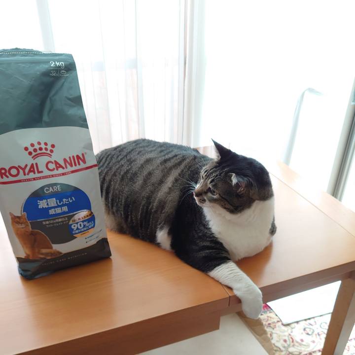 2b596da8 f80f 4447 99ce 8dae88bc020c 1600303792439