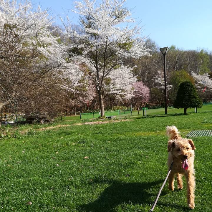 2b59735a c1e1 4186 a596 f450e0d1d1dd 1556957325810