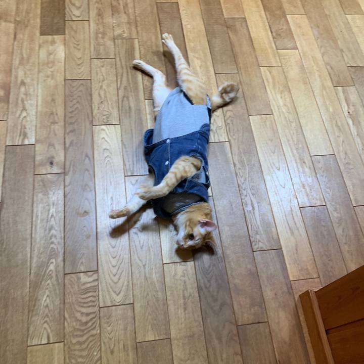 2b599a2d c3ba 480f 8387 e1eff36efce5 1655729408487