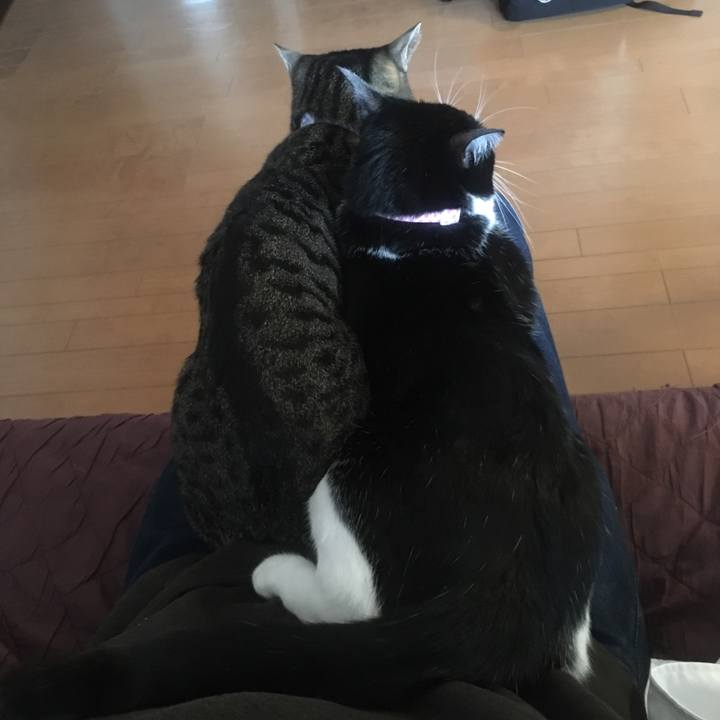 2b59b6a2 e1f3 4fad 80bb 64d64f2f5697 1571708016539