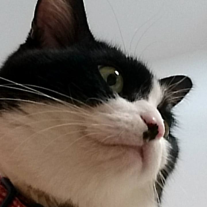 2b5a4d00 a337 4d95 b5ef 9ccc6c2d07dc 1528896697554