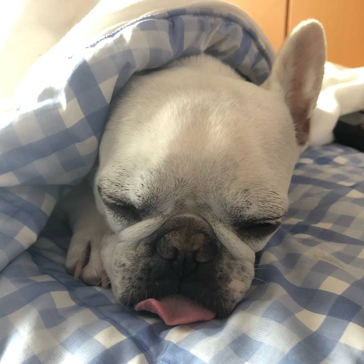 2b5a5366 77fd 42c2 82a4 07dc3ef385b3 1625218692330