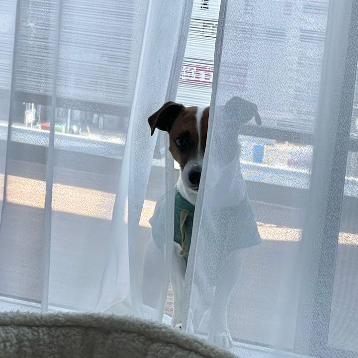 2b5a7b24 d2b4 4258 8f66 c2f8c5c5e469 1649730027805