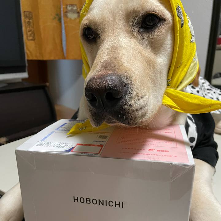 2b5aa772 ccdc 41ff b625 d908b1dea3b3 1643450798131