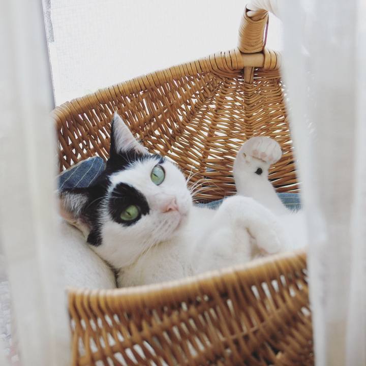 2b5b0c57 7ac8 4762 b076 4091ee8b0d49 1622441886525