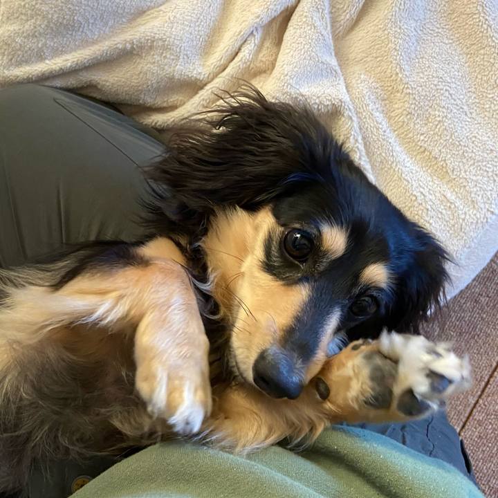 2b5b1ede 0337 4aa4 91a4 36b49905e79f 1714259994864