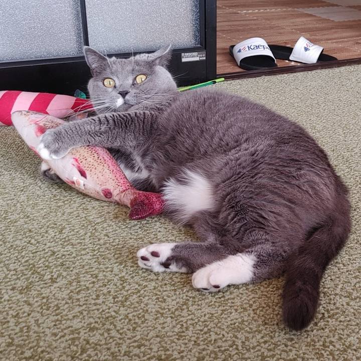 2b5b3679 9324 4781 ab17 0a88ad5039e6 1677375940411