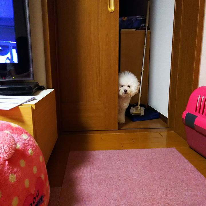 2b5b632c f7df 4db8 9a18 7565c813b3bc 1563801129217