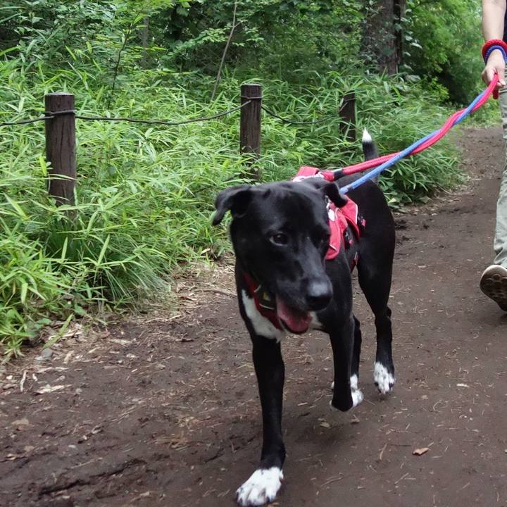 2b5b6ef0 d509 4f17 88bf 5473e2c83019 1593168565012