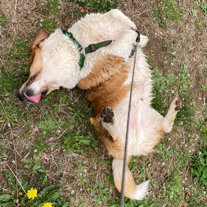 2b5b73ab bc38 4bac 9b3a 403210c1ca1c 1744508147111