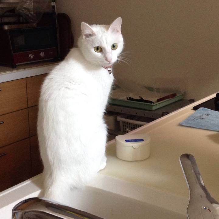 2b5b7961 df32 4248 95d8 af02d292057d 1630713444594