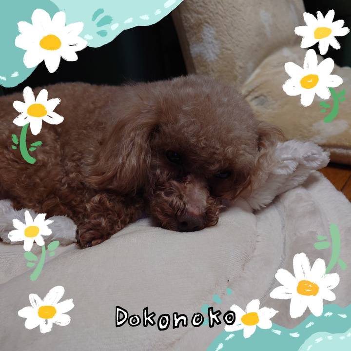 2b5b9221 9829 4e53 b36e b704aea1cb17 1712713353742