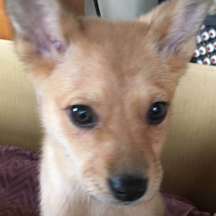 2b5c2812 2876 4e98 88f5 80c5c76d2b24 1552191518267