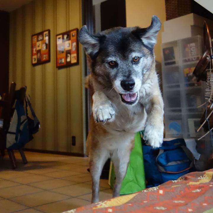 2b5c35a2 0c4f 46d2 bf89 26b43939ae0c 1638749009183