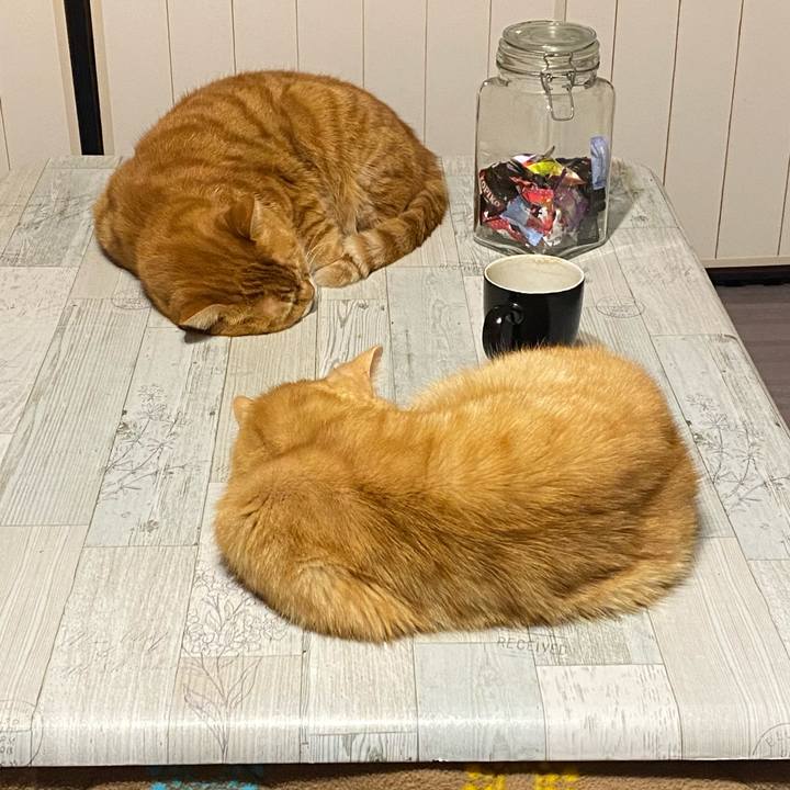 2b5c3c65 b4ad 49ac 9a1d 3a51d4c46bb8 1611488287489