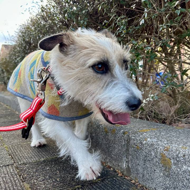 2b5c4e7d a7e3 47f6 bf93 3286762cf22e 1738236967562