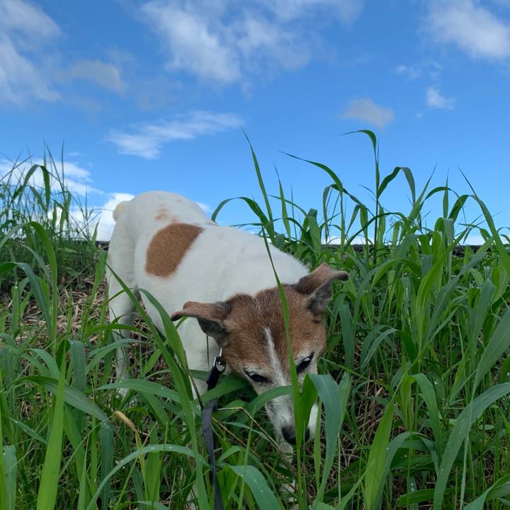 2b5c7cbf ae1b 4653 ac64 64b53a64f40e 1601164891597