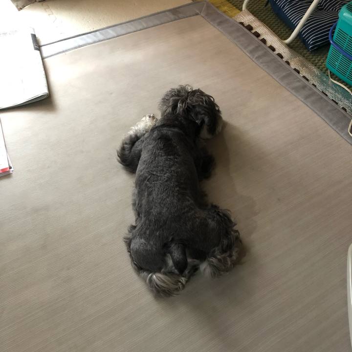 2b5c9fc1 4ad3 49a0 b7fc 92291d57de10 1626911953005