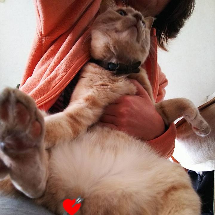 2b5ca5b5 bbfd 4897 9c70 bfa04f331648 1642731927758