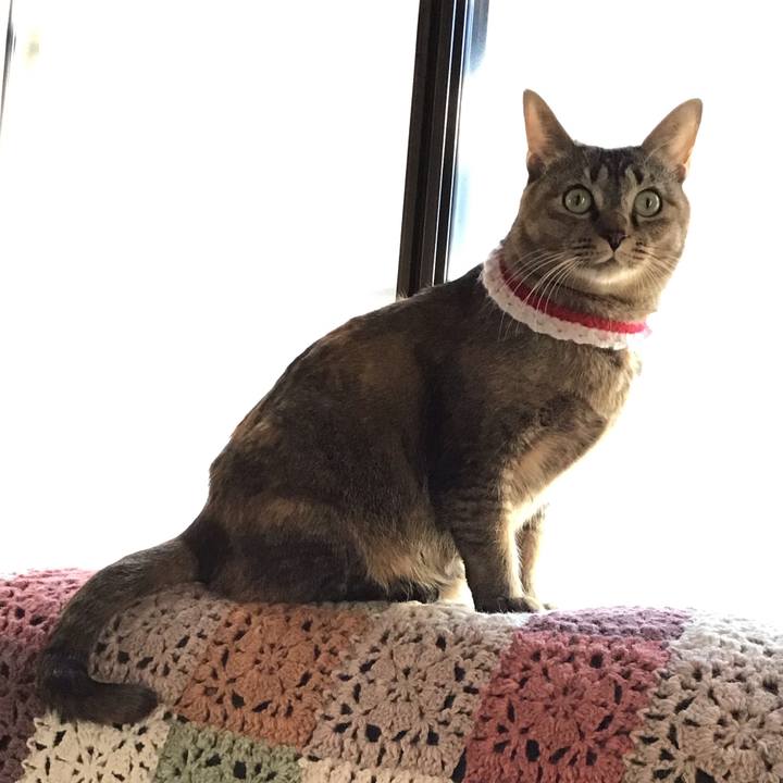 2b5cedf8 7d89 4481 b231 397eab23fc97 1610234059929