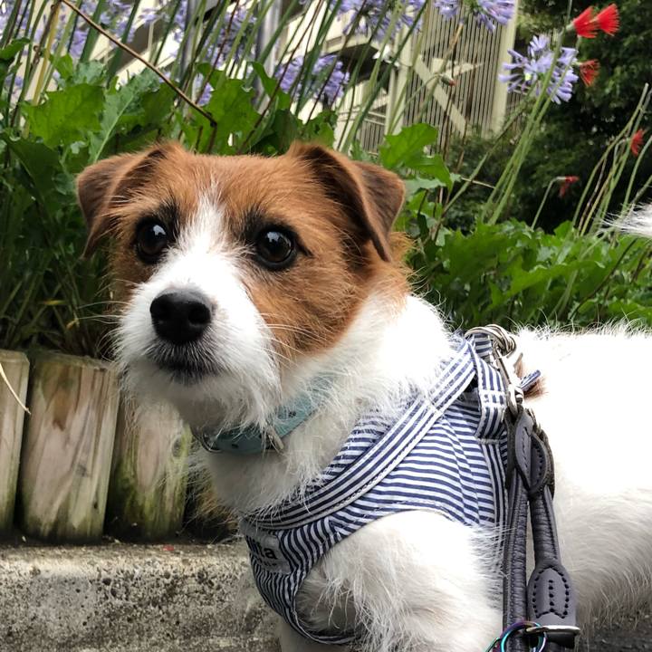 2b5cfb06 e0f6 4a15 8f44 faa95a673507 1529787827074