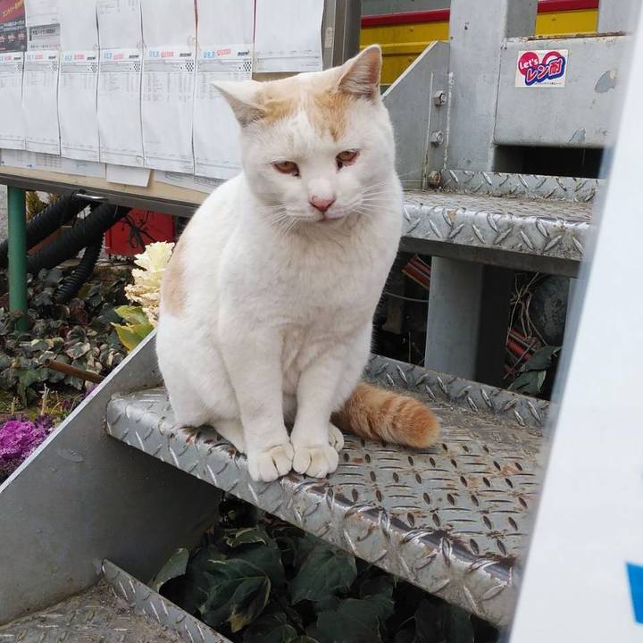 2b5d0cf7 3ad1 4c1c a7d2 42494ebdf7a5 1614333754593