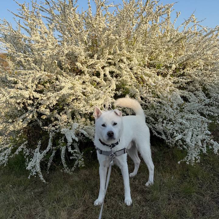 2b5d1d2d c7e5 424d a6f3 fa98de42f4aa 1774046601060