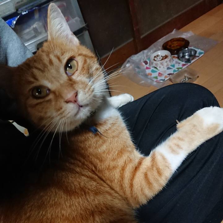 2b5d1e7b 2fef 41ed a42c c084abad38c0 1603009695822